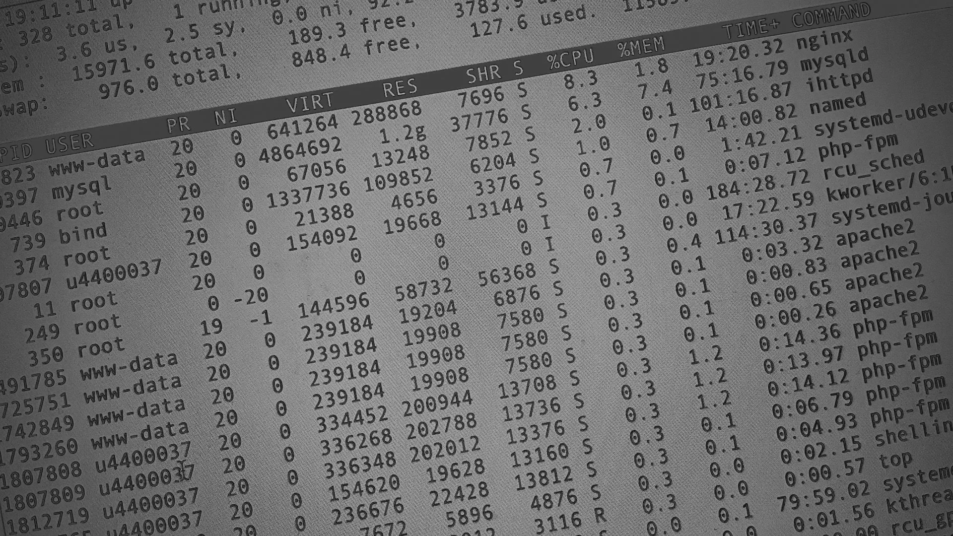 Настройка сервера в Александрове