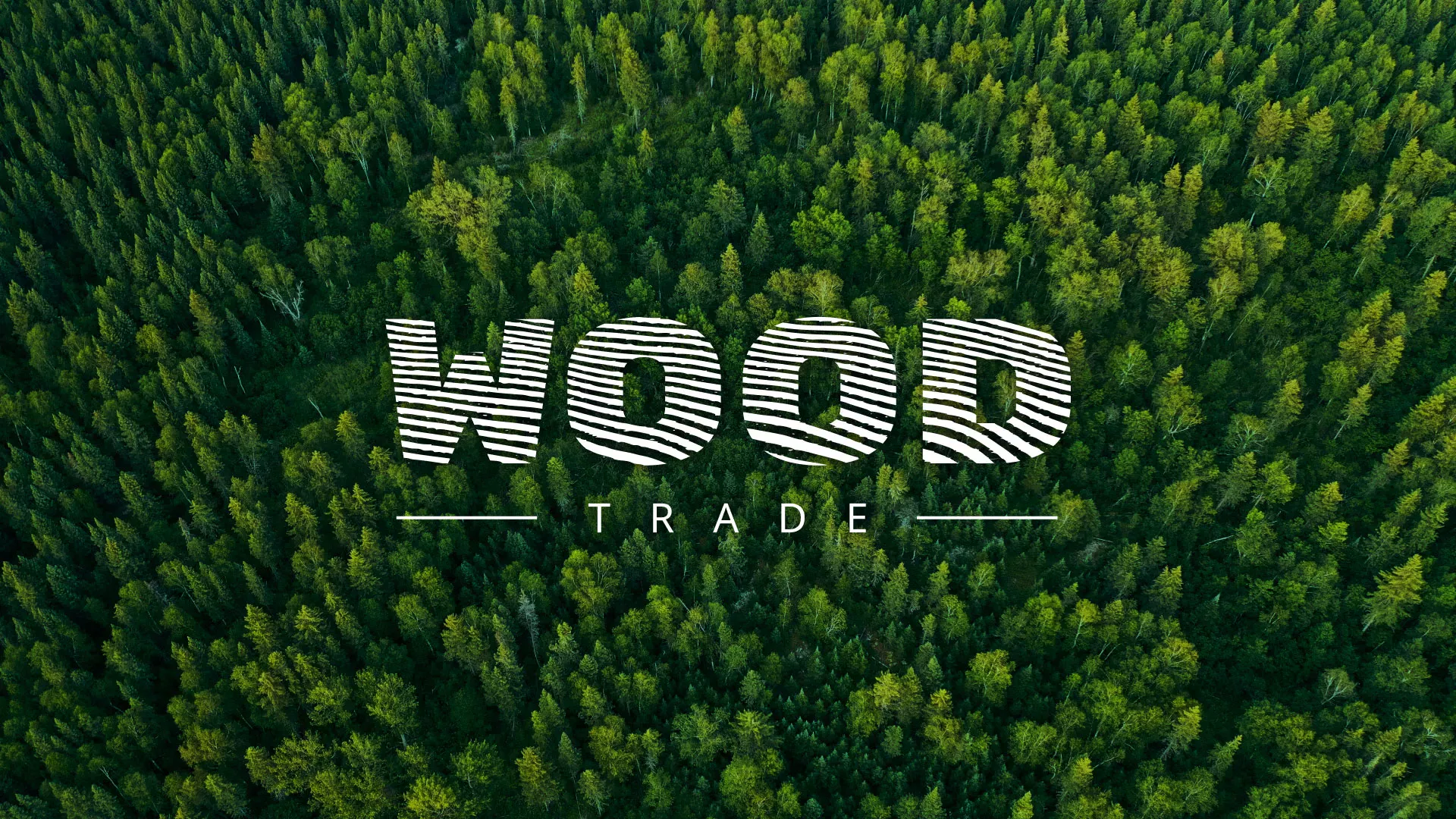Разработка интернет-магазина компании «Wood Trade» в Александрове