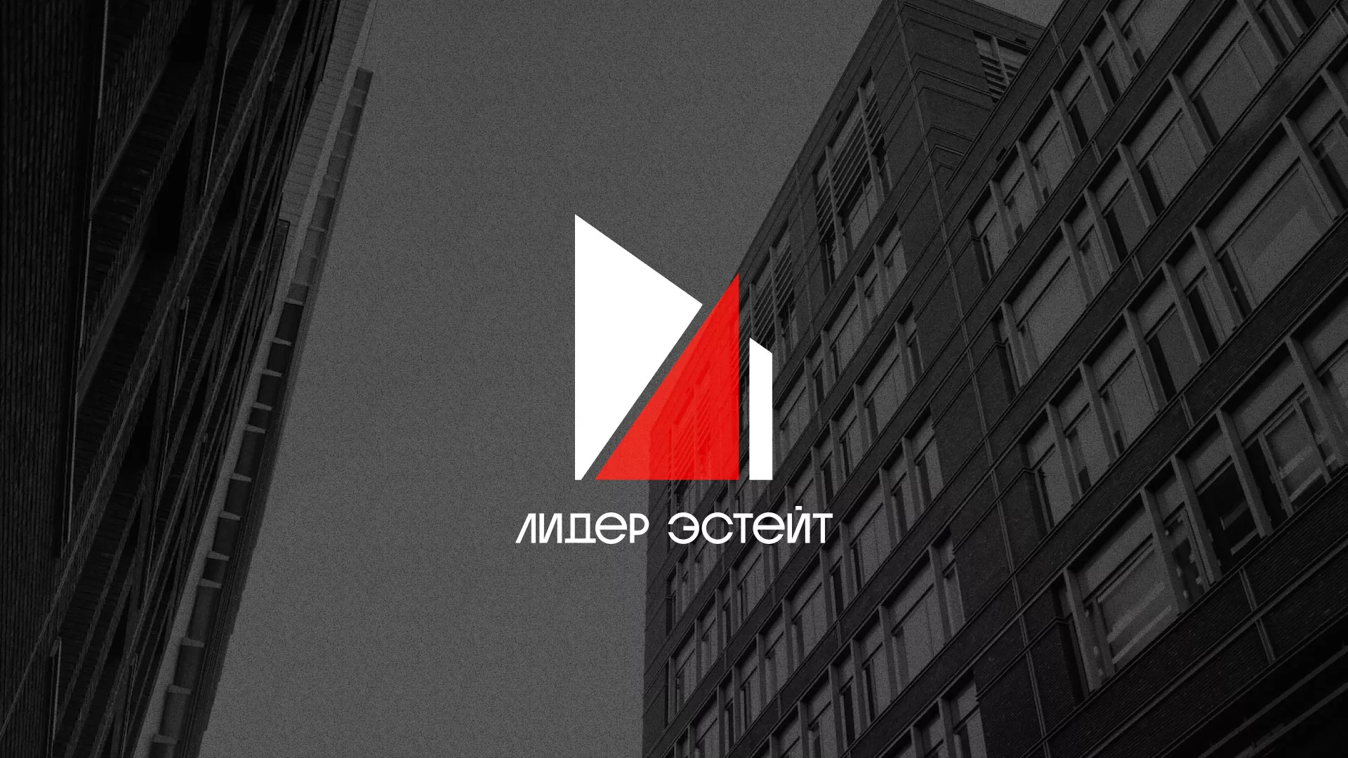 Сделали логотип для агентства недвижимости «Лидер Эстейт» в Александрове